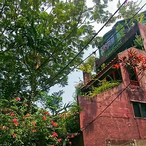 Rainforest Kuala Lumpur
